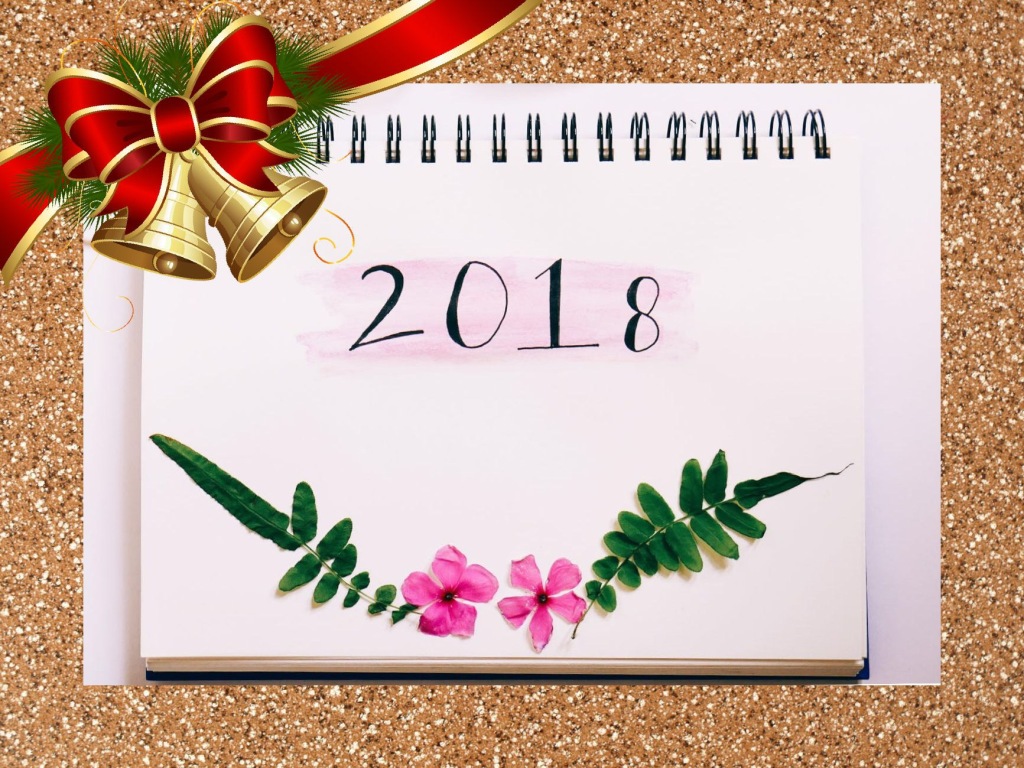 Blogmas Day 20 – A Reflection Of The Year 2018